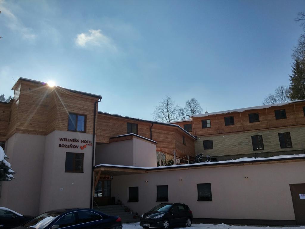 Wellness Hotel Bozenov Забржег Экстерьер фото